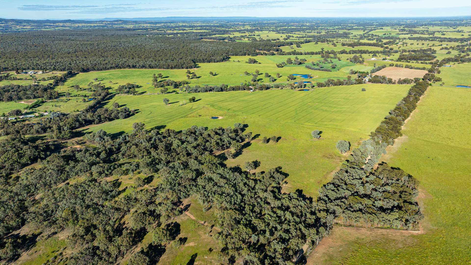 Lot 3 Old Howlong Road, Cornishtown For Sale by Farmbuy.com - image 14