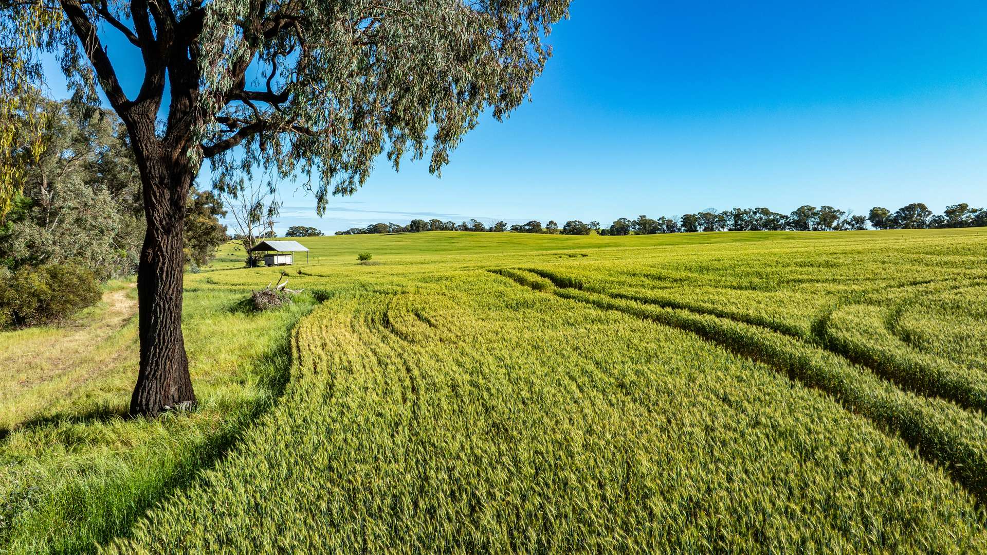 Lot 3 Old Howlong Road, Cornishtown For Sale by Farmbuy.com - image 1