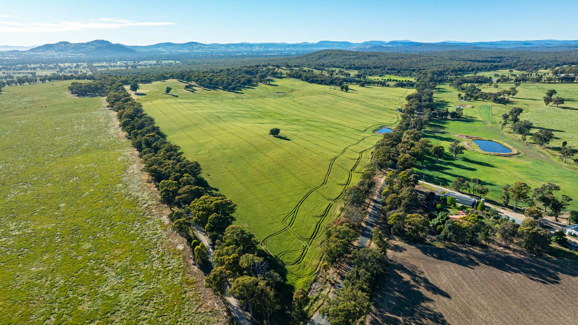 Lot 3 Old Howlong Road, Cornishtown For Sale by Farmbuy.com - image 3