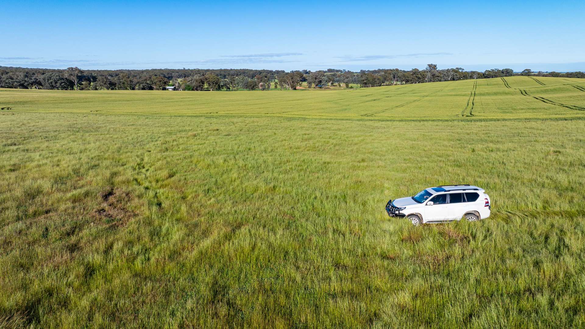 Lot 3 Old Howlong Road, Cornishtown For Sale by Farmbuy.com - image 10
