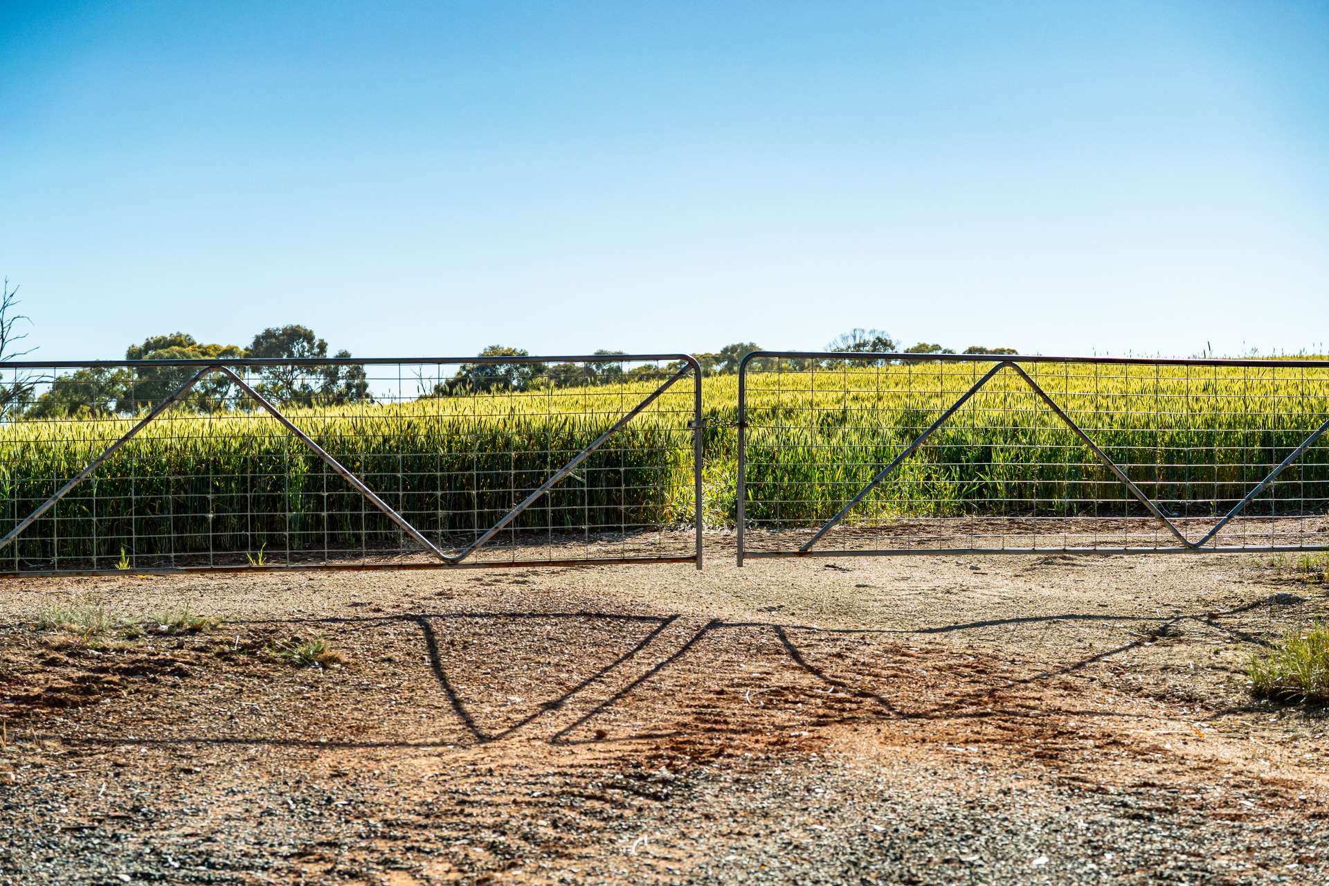 Lot 3 Old Howlong Road, Cornishtown For Sale by Farmbuy.com - image 18