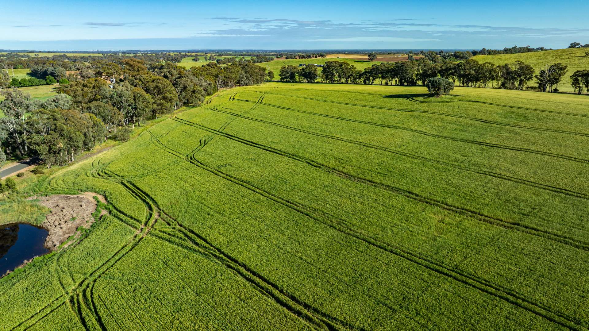 Lot 3 Old Howlong Road, Cornishtown For Sale by Farmbuy.com - image 7