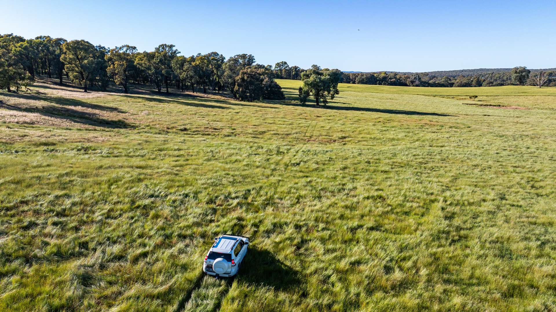 Lot 3 Old Howlong Road, Cornishtown For Sale by Farmbuy.com - image 8