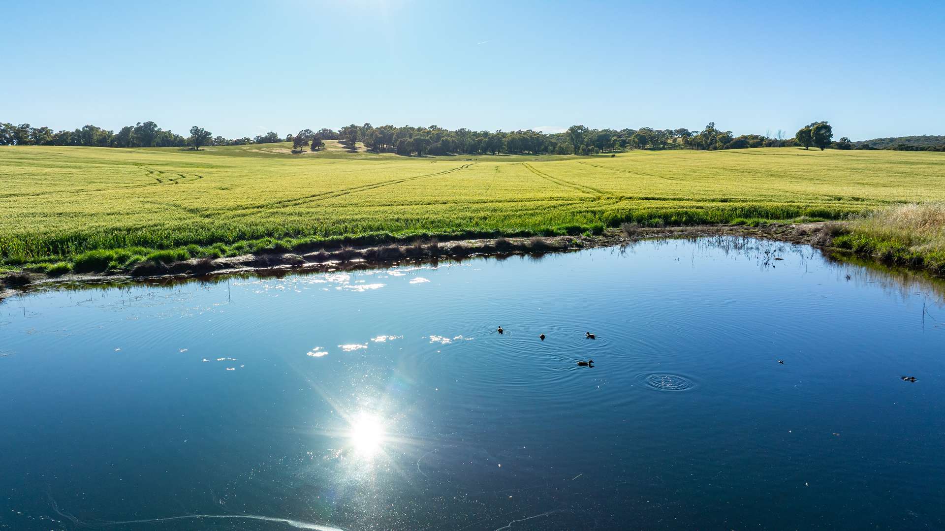 Lot 3 Old Howlong Road, Cornishtown For Sale by Farmbuy.com - image 16