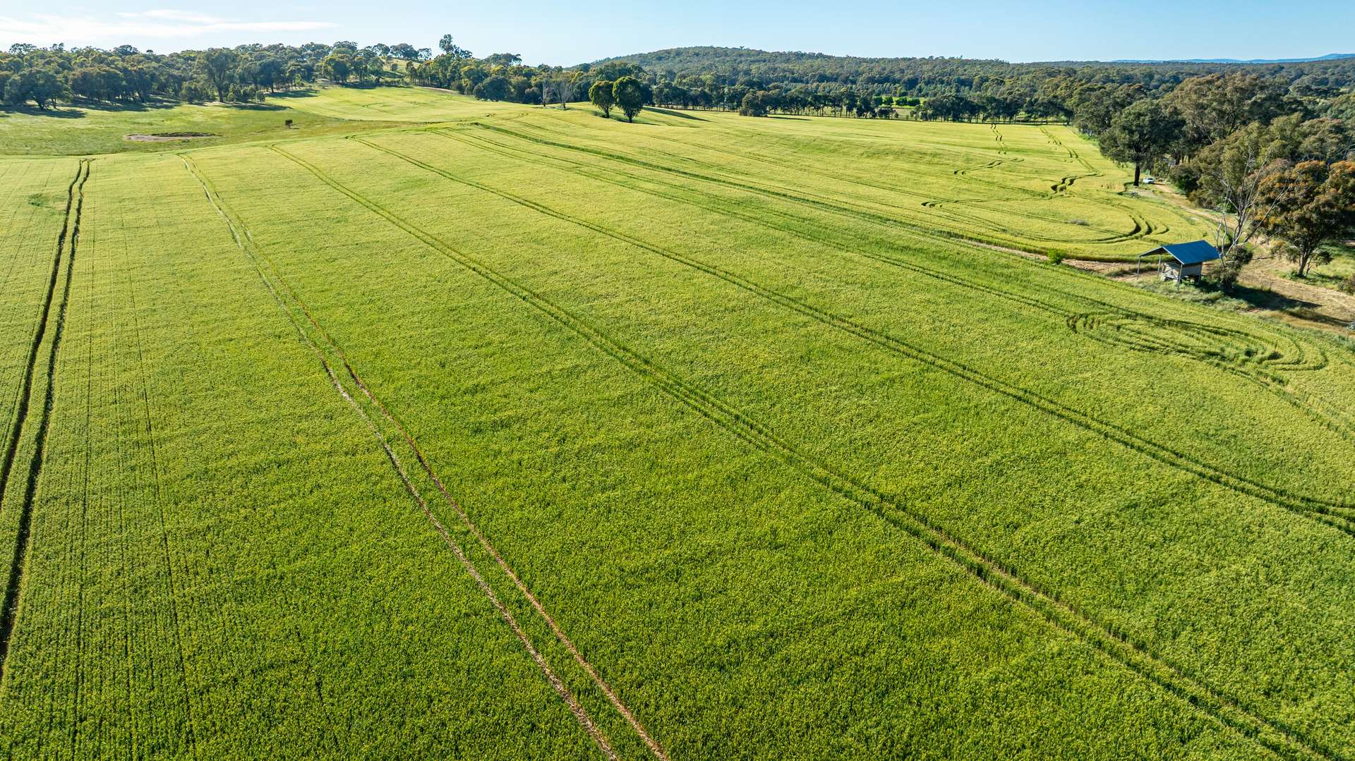 Lot 3 Old Howlong Road, Cornishtown For Sale by Farmbuy.com - image 4