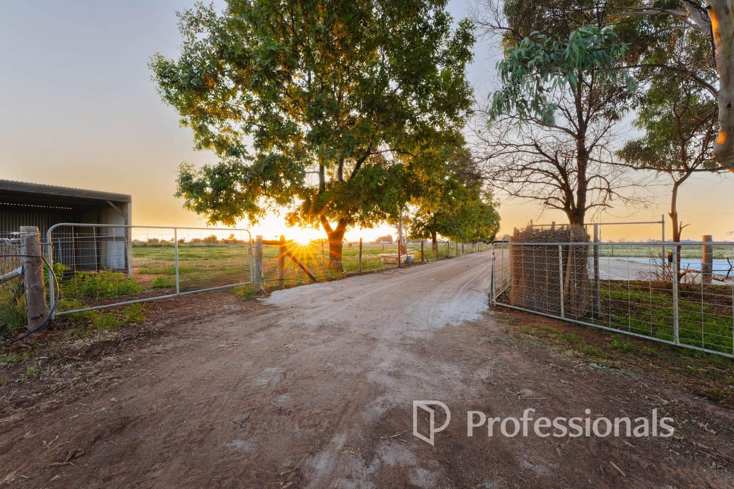 1257-1273 Karadoc Avenue, Irymple For Sale by Farmbuy.com - image 28