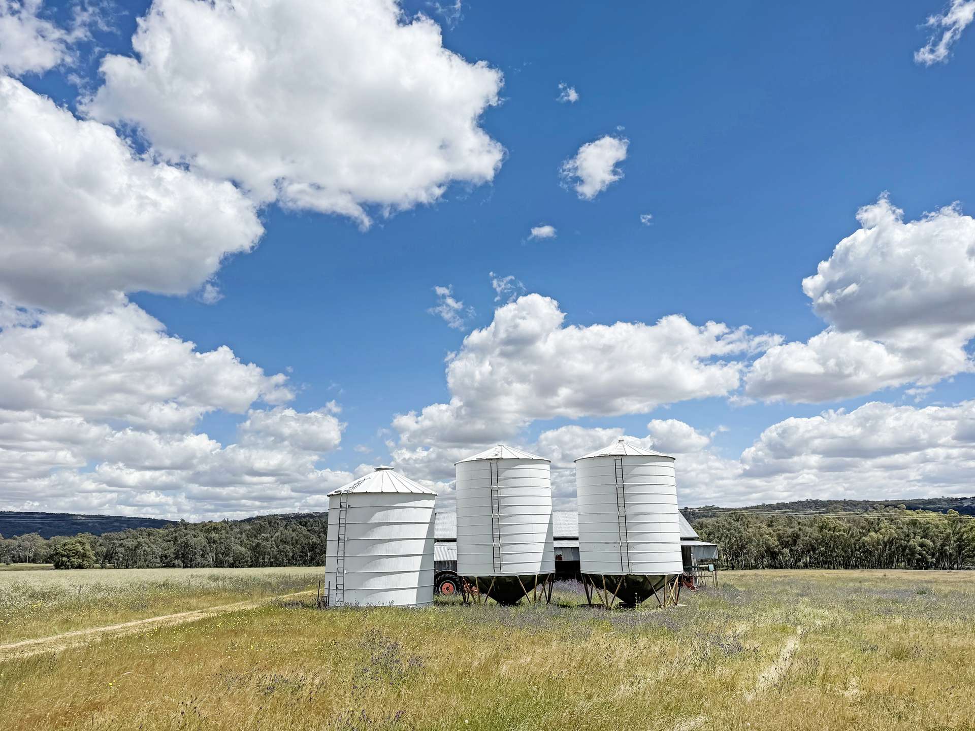 808 Gooloogong Road, Grenfell For Sale by Farmbuy.com - image 12