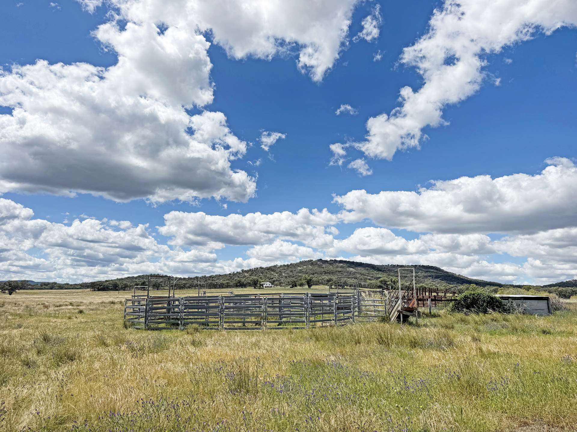 808 Gooloogong Road, Grenfell For Sale by Farmbuy.com - image 14