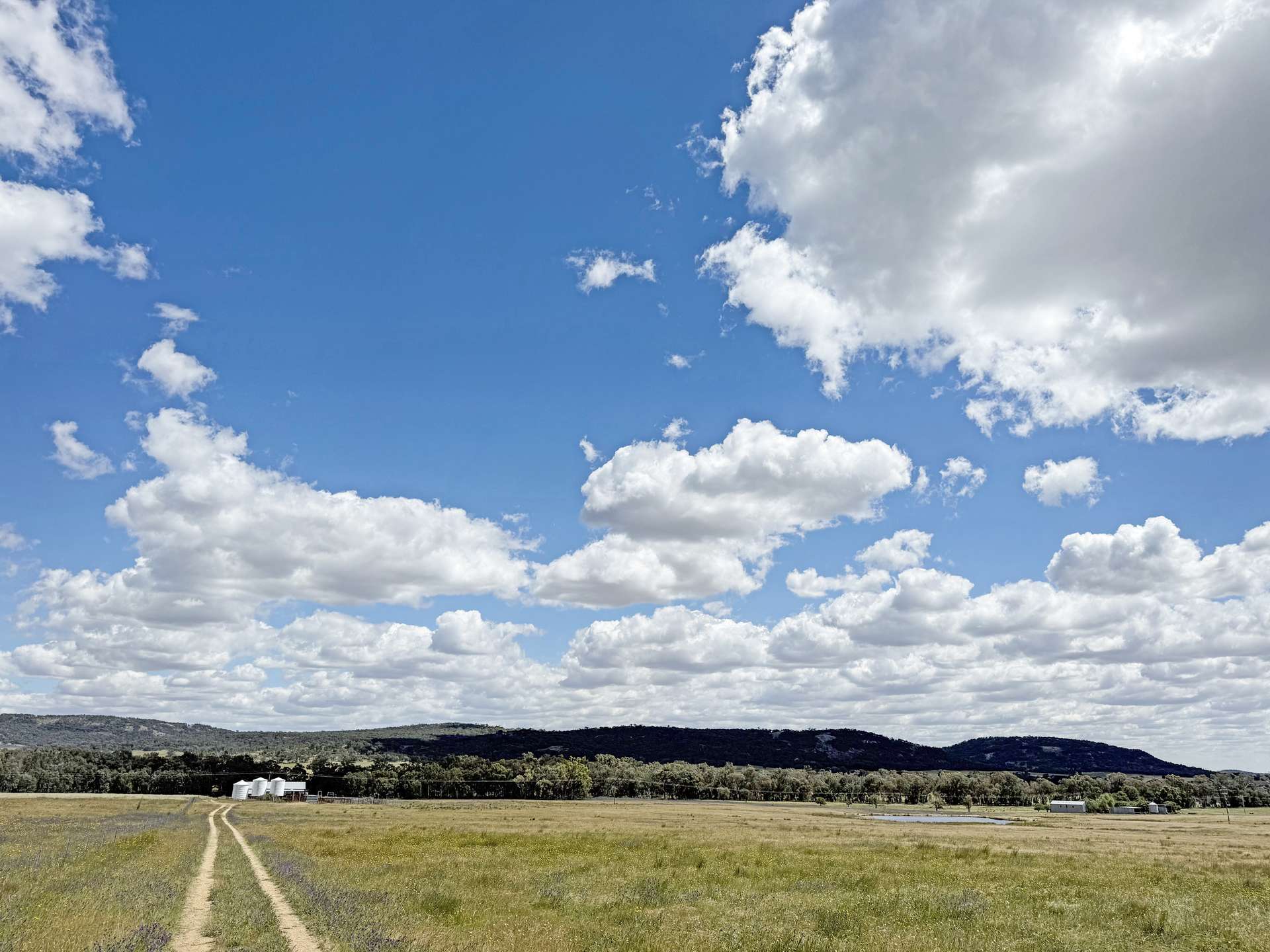 808 Gooloogong Road, Grenfell For Sale by Farmbuy.com - image 10