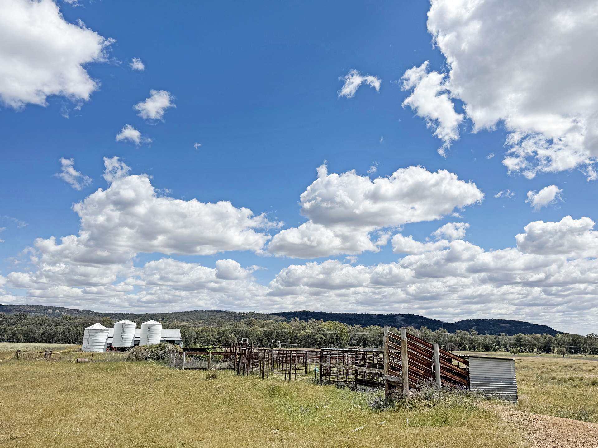808 Gooloogong Road, Grenfell For Sale by Farmbuy.com - image 11