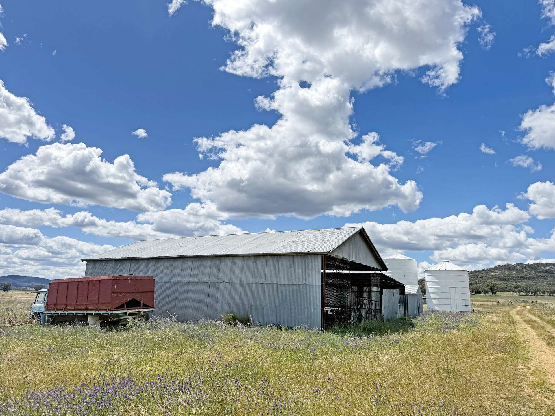 808 Gooloogong Road, Grenfell For Sale by Farmbuy.com - image 16