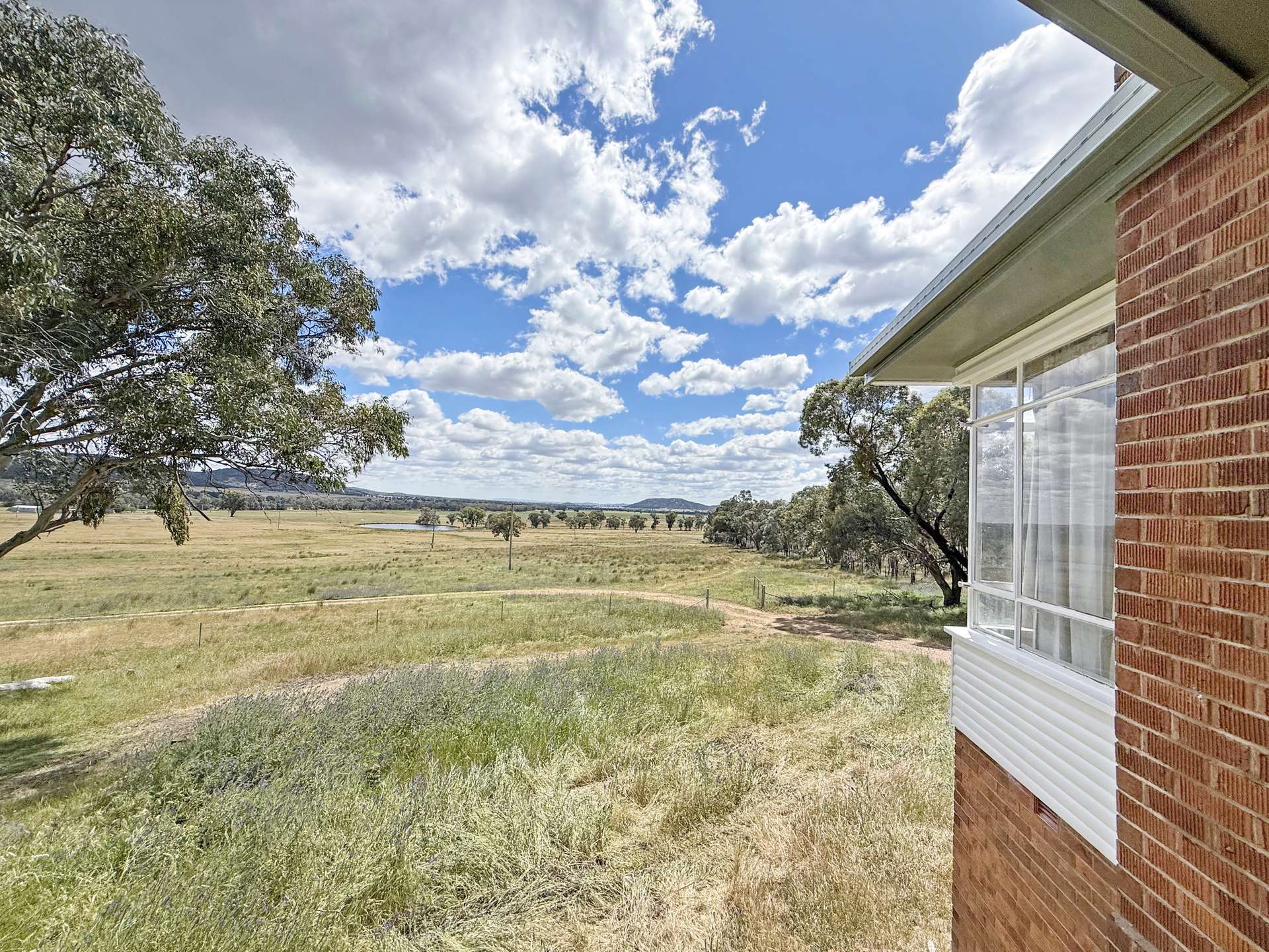 808 Gooloogong Road, Grenfell For Sale by Farmbuy.com - image 9