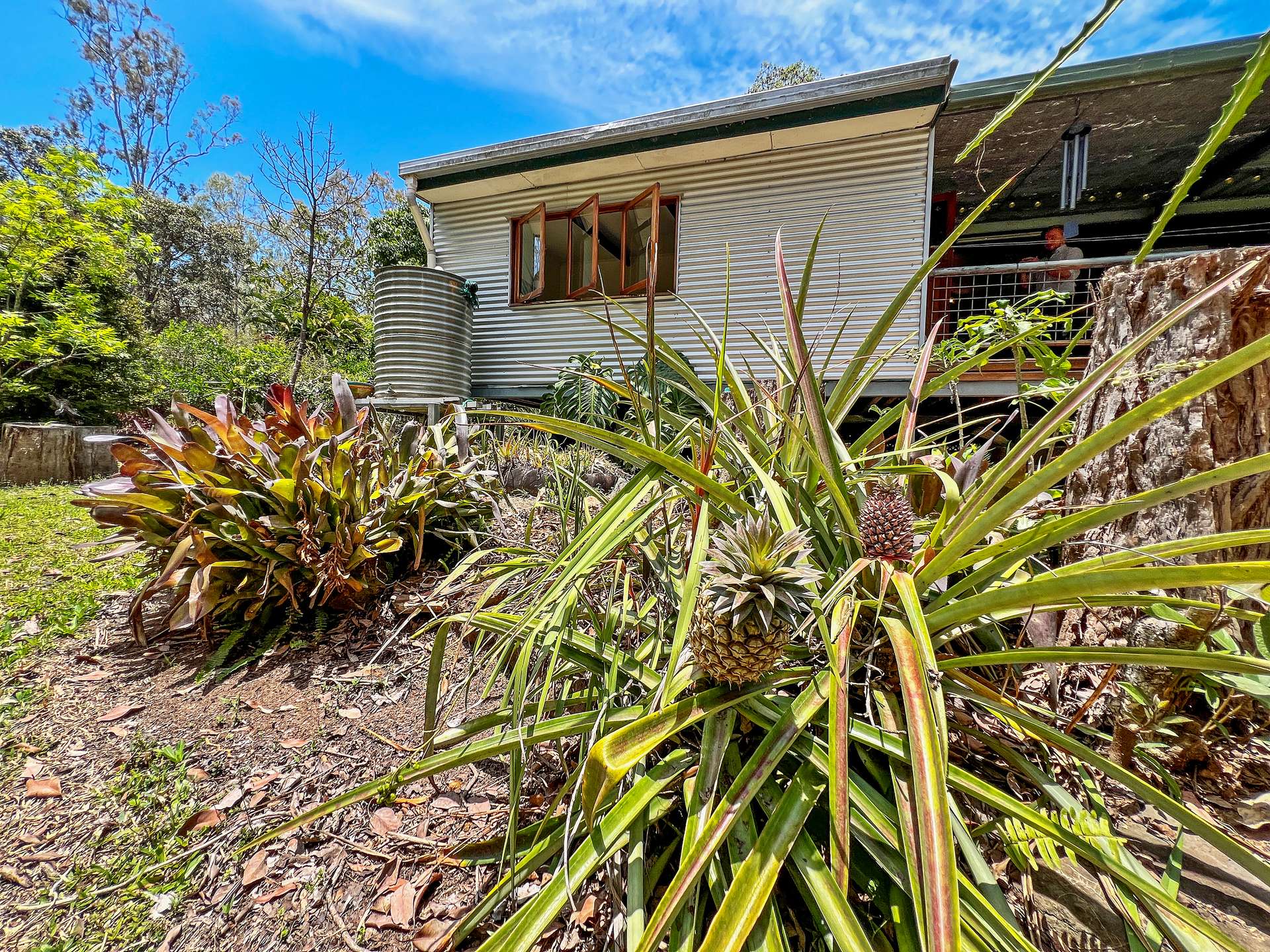 20 Binbrook Road, Millstream For Sale by Farmbuy.com - image 16