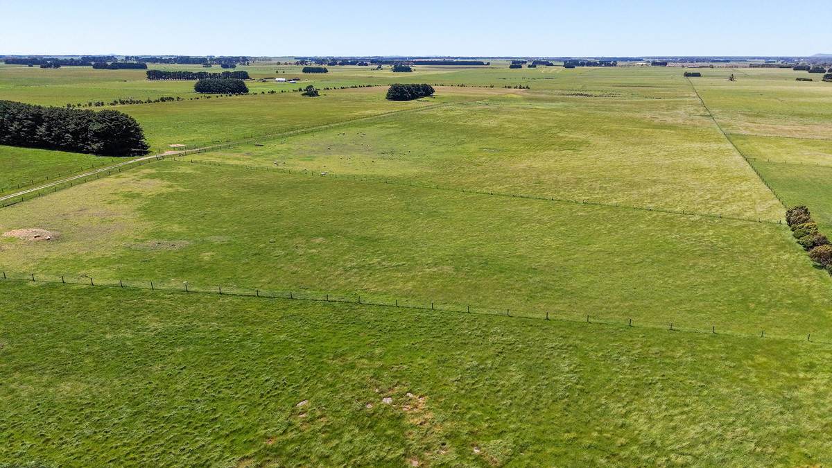 98 Grassmere-Hexham Road, Grassmere For Sale by Farmbuy.com - image 24
