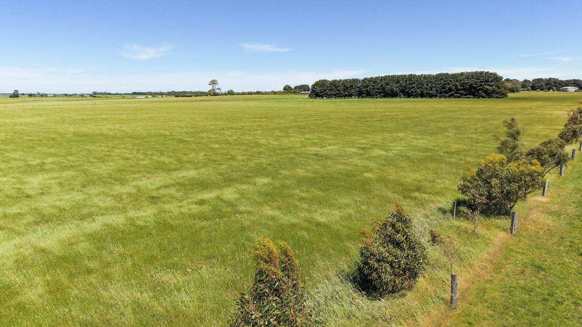 98 Grassmere-Hexham Road, Grassmere For Sale by Farmbuy.com - image 29