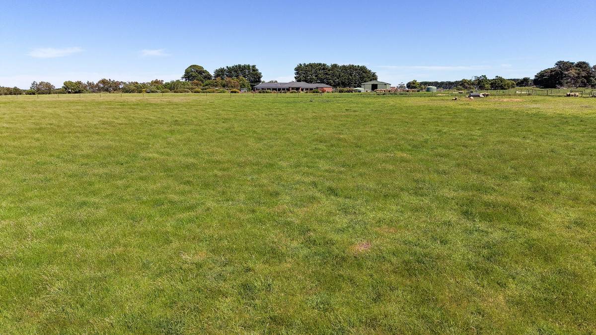 98 Grassmere-Hexham Road, Grassmere For Sale by Farmbuy.com - image 26